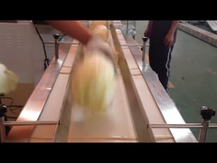 Οριζόντια μηχανή πακέτων ροής