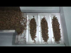 Μηχανή συσκευασίας σταφίδων τιμών εργοστασίων, μηχανή συσκευασίας καρυδιών, ξηρά κόκκινη μηχανή συσκευασίας ημερομηνιών