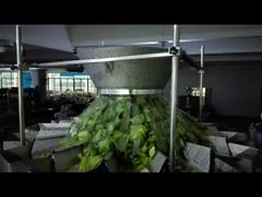 Δείτε γιατί να επιλέξετε τη μηχανή συσκευασίας προκατασκευασμένων σακουλών κολοκυθόσπορου με φερμουάρ, ζύγισης και συσκευασίας