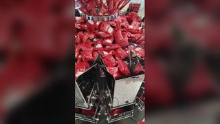Αυτόματη μηχανή συσκευασίας τσάντα-σε-τσάντα