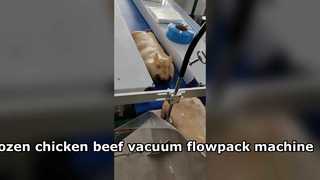 Μηχάνημα συσκευασίας κενού μαξιλαριού με κενό αέρος για κατεψυγμένο κοτόπουλο, βόειο κρέας και χοιρινό